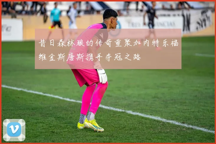 昔日森林狼的传奇重聚加内特乐福维金斯唐斯携手夺冠之路